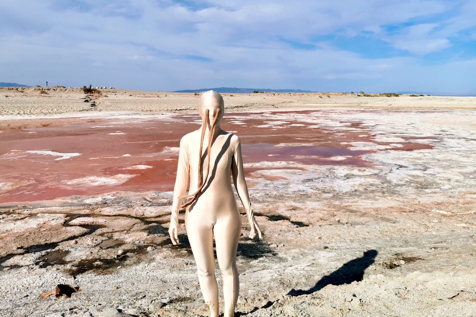 DESERT CREATURES: THE SALTON SEA (2019)