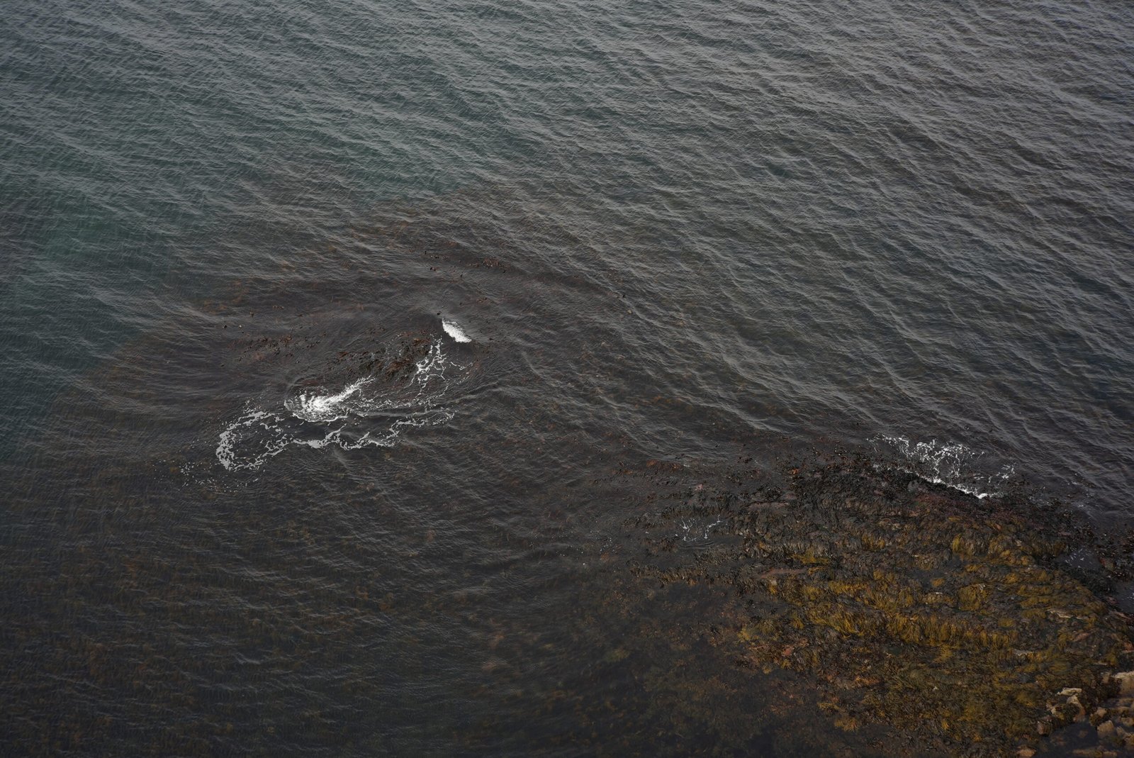 I HAVET (2024)